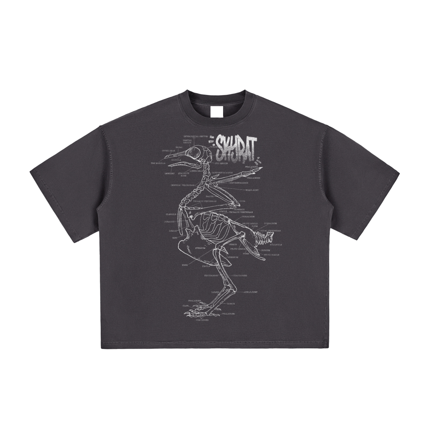 Anatomy Vintage Washed Boxy Tee