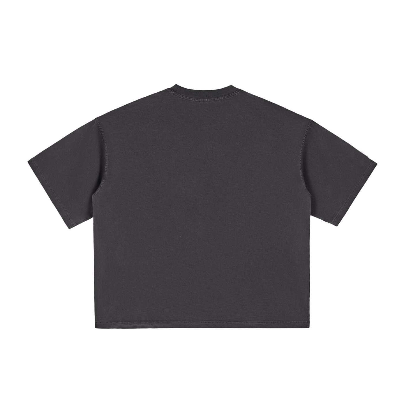 Anatomy Vintage Washed Boxy Tee