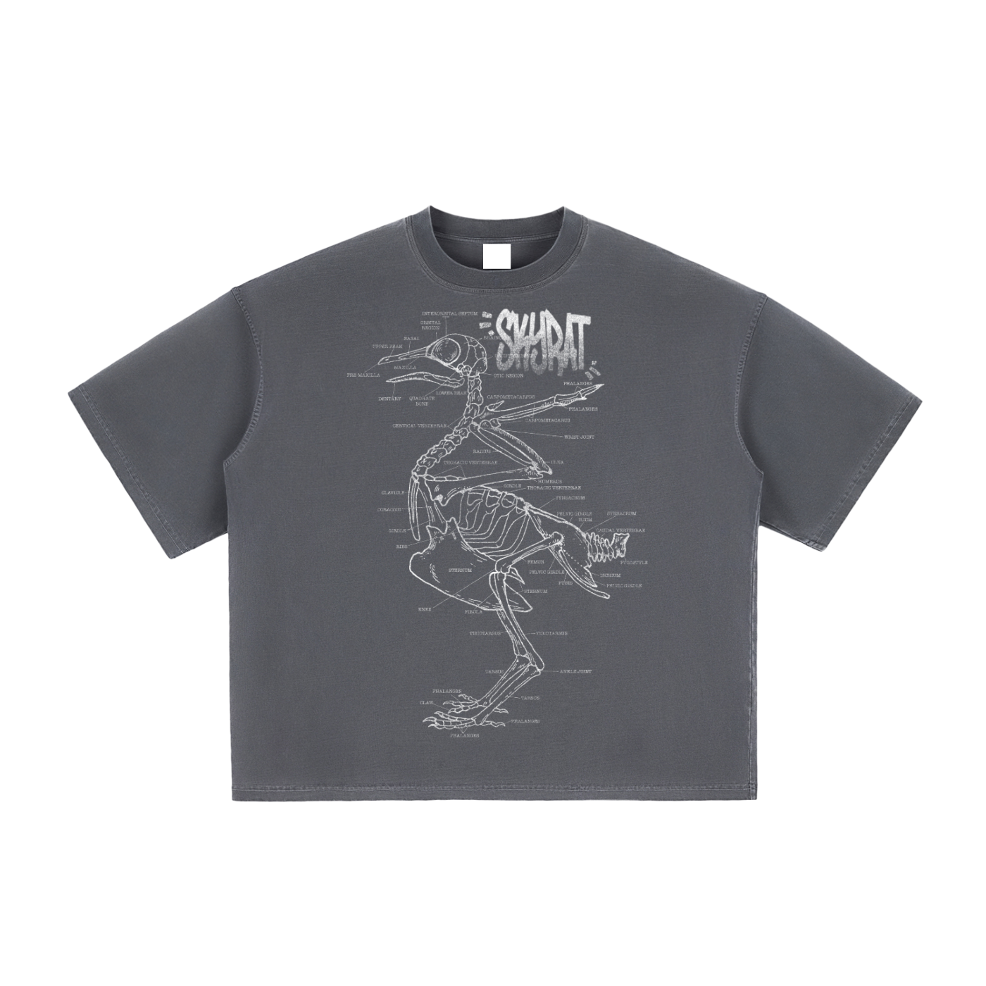 Anatomy Vintage Washed Boxy Tee