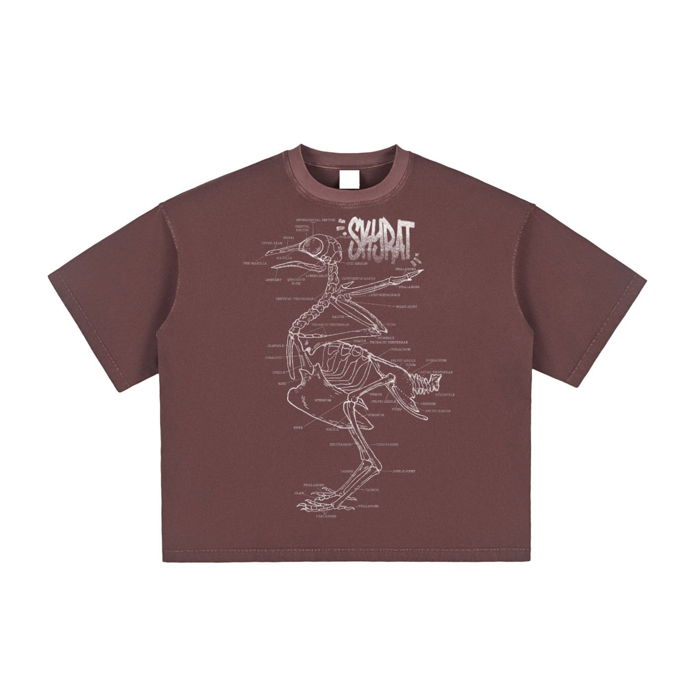 Anatomy Vintage Washed Boxy Tee